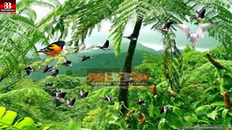 IMG-20220616-WA0057