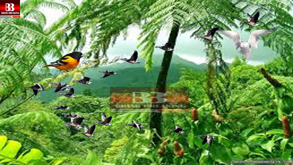 IMG-20220616-WA0057