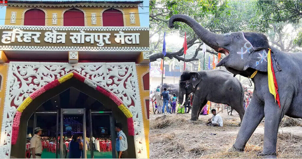 sonepur-mela-largest-animal-fair-of-bihar-and-know-about-tawaif-zohrabai
