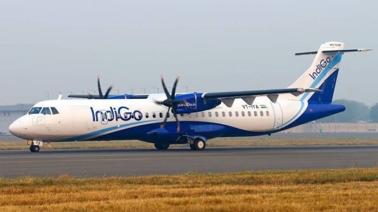 Indigo-Flight