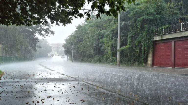 rain
