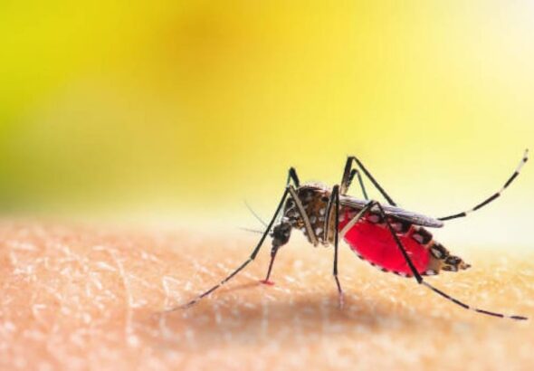 istockphoto-1317059852-612x612-sixteen_nine